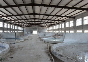 學(xué)洋明膠蛋白廠浸泡車間 皮革制品處理的工業(yè)現(xiàn)場(chǎng)剖析